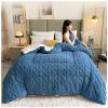 ZTGL 3-5 Kg Super Warm Lamb Solid Color Winter Blanket Double-Sided Fleece Quilt Thickened Warm Plush Quilt for Cold Weather,Blue,180x220cm/3.5kg view 2