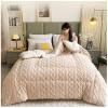 ZTGL Double Sided Thicken Winter Quilt, Single Double Duvet, Extra Warmest Breathable Lamb Cashmere Bed Blanket for Winter Double Bed, Super Soft Bedding Fleece Quilts,A,220x240cm/5kg view 4