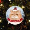Christmas Ceramic Ornament Cat in Christmas Hat Dear Santa, Define Naughty Holiday Present New Home Gift for Cat Lovers Ceramic Elegant Hanging Christmas Tree Decorations view 1