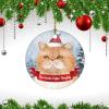 Christmas Ceramic Ornament Cat in Christmas Hat Dear Santa, Define Naughty Holiday Present New Home Gift for Cat Lovers Ceramic Elegant Hanging Christmas Tree Decorations view 3