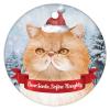 Christmas Ceramic Ornament Cat in Christmas Hat Dear Santa, Define Naughty Holiday Present New Home Gift for Cat Lovers Ceramic Elegant Hanging Christmas Tree Decorations view 4