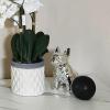 9in French Bulldog Statue, Bulldog Sculpture Decor, Resin Dog Animal Sculpture with Silver Necklace Animal Statues for Home Decor for Room, TV Stand, Bedroom, Shelves, and Desktop (9in,Silver) view 3