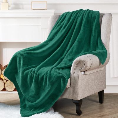 BYTIDE Faux Fur Plush Throw Blankets, Luxury Solid Color Decorative Soft Cozy Fluffy Fuzzy Warm Throw for Couch Sofa Chair Bed Cover, Bedroom Living Room Outdoor Blankets, 60 x 80 in, Teal Green