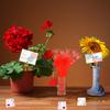 CCINEE 100Pcs Plastic Floral Pick Card Holders Red Heart Shaped Flower Place Card Holders Clips for Floral Arrangement Bouquet Wedding Valentine's Day Decoration, 9 Inches view 4