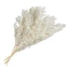 47th & Main 3-Piece Dried Preserved Pine Stems Bunch for Home Dcor, 27-Inches Long, White view 1