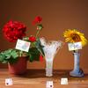 CCINEE 100pcs Plastic Floral Pick Card Holders Clear Heart Shaped Flower Place Card Holders Clips for Wedding Bouquet Birthday Party Supply, 9 Inches view 4