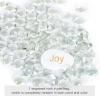 Ausluru 10LB Glass Gemstones Flat Glass Marbles and Frosted Sea Glass Crushed Glass view 4