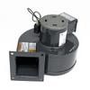 Blower Motor 115V view 1