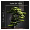 WANGXIAOYUE Sculpture Vase Vase Artificial Bonsai Tree Artificial Bonsai Tree23 Inches Faux Vase Bonsai Pine Fake Tree Bonsai Plant for Decoration Desktop Display Bonsai Plant Pot Crafts view 2
