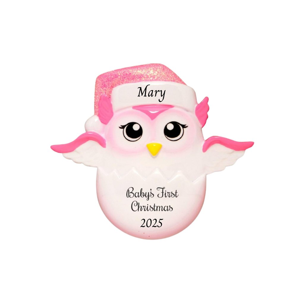 2025 Babys First Christmas Ornament  Baby Boy & Girl Keepsake  Personalized My 1st Christmas Ornament for Newborn & Grandbaby Custom Holiday Decoration Gift for Xmas (Baby Chick - Girl)