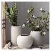 WANGXIAOYUE Sculpture Vase HBSDF Desktop Flower Vases, Dried Flowers Handmade Ceramic Vases White Flower Pot Home Decoration Creative Vases Crafts (Size : 24 * 31CM) view 4