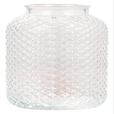 WANGXIAOYUE Sculpture Vase Creative Glass Vases, Simple Desktop Decoration Dried Flower Vases Table Centrepiece Decoration Vases for Home Wedding Party Event Office 10.4 * 20.3cm Crafts (Color : B)