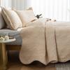 Auemtyn Full/Queen Size Quilt Set 3 Pieces, Soft Lightweight Summer Bedspread, Reversible Microfiber Bed Coverlet for All Seasons, Beige, Rose Pattern (1 Quilt, 2 Pillow Shams) view 3