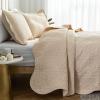 Auemtyn Full/Queen Size Quilt Set 3 Pieces, Soft Lightweight Summer Bedspread, Reversible Microfiber Bed Coverlet for All Seasons, Beige, Floral Pattern (1 Quilt, 2 Pillow Shams) view 3