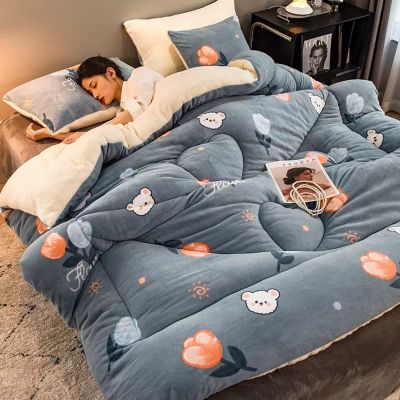 XYXHEII Lamb Velvet Winter Quilt, Super Warm Duvet, Breathable Double-Sided Comforter, Extra Luxury Hotel Quilted, Microfibre Quilts, Soft Touch, Autumn and Winter Quilt (D 200x230cm(4.5kg))