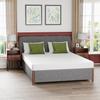 PayLessHere 6 Inch Queen Gel Memory Foam Mattress Fiberglass Free/CertiPUR-US Certified/Bed-in-a-Box/Cool Sleep & Comfy Support view 1