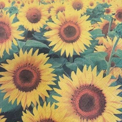 Set of 2 Individual Decoupage Paper Party Napkins Flowers Botanical Sunflowers Watercolor Decor LUNCHEON Napkin for a Birthday, holiday, Wedding, Cocktail Party