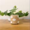 Iced Coffee Glass Cup with Bamboo Lid and Straw | 16oz Beer Can Glass | beer glass Cup | Can Shaped Glass Soda Can Cup | white smiley face Glass Cup, Beer Glass Can, Glass Coffee Cup view 3