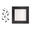 Poster Palooza 3/4" Black Photo Frame Turn Button Fasteners with Screws Pack of 1000 Picture Frame Hardware Backing Clips view 2