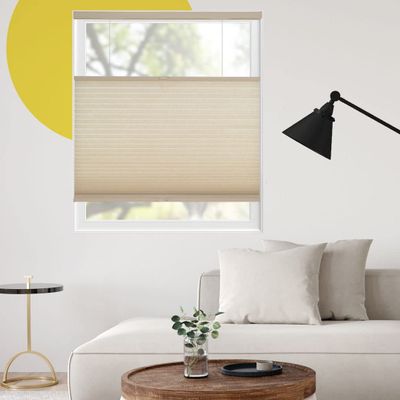 YELLOW BLINDS Cellular Shades, Window Blinds for Room, Window Coverings for Home Decor Series, Top Down Bottom Up, Fennec Fox -Light Filtering, 54.75" W x 72" H