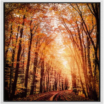 SIGNWIN Framed Canvas Print Wall Art Rustic Trail Red Autumn Forest Nature Wilderness Modern Art Farmhouse/Country Landscape Colorful Multicolor for Living Room, Bedroom, Office - 16"x24" White
