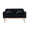 55" Accent Loveseat Sofa Couch, Mid Century Modern Velvet Fabric Couch with 2 Pillows and Metal Legs, 2-Seater Upholstered Mini Sofa Couches for Small Space, Living Room Apartments (Black) view 4