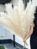 10 Stems 46" inch White Pampas Grass Decor Tall, Large Pompas Grass, Boho Neutral Home Decor Bouquet, Fluffy Pampass Grass for Floor Vase Wedding Floral Arrangements Wall Farmhouse Table Decor view 1