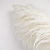 10 Stems 46" inch White Pampas Grass Decor Tall, Large Pompas Grass, Boho Neutral Home Decor Bouquet, Fluffy Pampass Grass for Floor Vase Wedding Floral Arrangements Wall Farmhouse Table Decor view 3