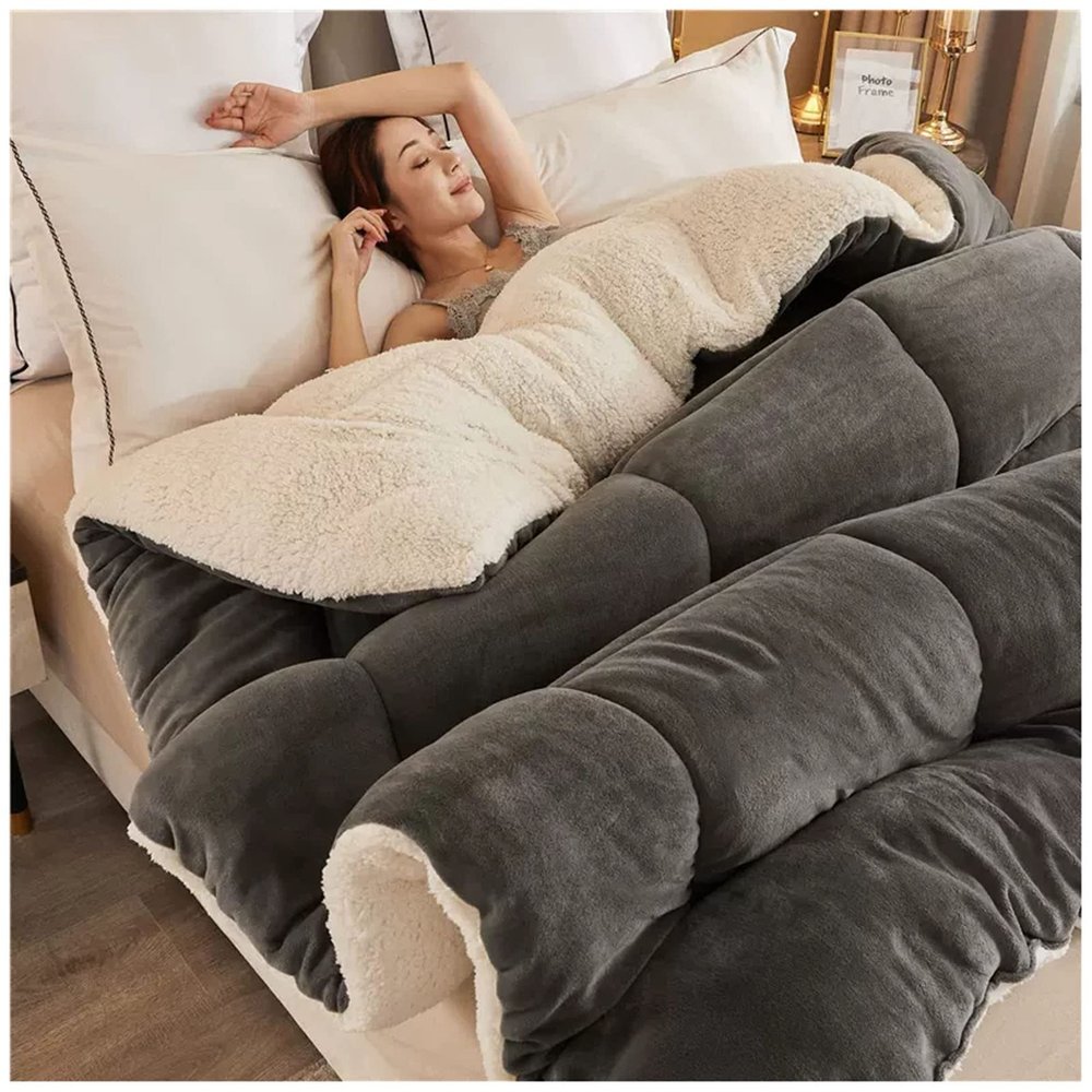 ZTGL Super Warm Lamb Wool Queen Size Quilt Winter Blanket Double-Sided Velvet Quilt Thickened Warm Plush Comforter Core, Plain Blanket Winter Duvet Quilt,A,200x230cm/5kg