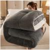 ZTGL Super Warm Lamb Wool Queen Size Quilt Winter Blanket Double-Sided Velvet Quilt Thickened Warm Plush Comforter Core, Plain Blanket Winter Duvet Quilt,A,200x230cm/5kg view 2