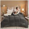 ZTGL Super Warm Lamb Wool Queen Size Quilt Winter Blanket Double-Sided Velvet Quilt Thickened Warm Plush Comforter Core, Plain Blanket Winter Duvet Quilt,A,200x230cm/5kg view 3