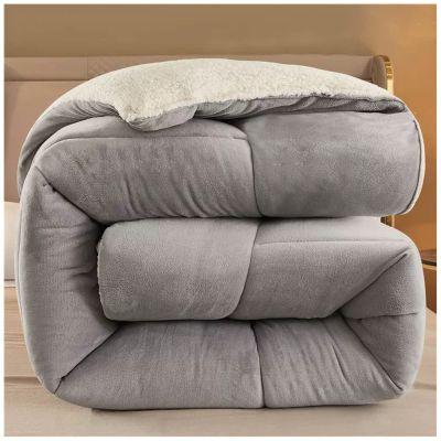 ZTGL Winter Fluffy Duvet - Double-Sided Velvet Warm Quilt Core, Soft Crystal Velvet + Warm Lamb Velvet Fabric, Microfiber Filling, Super Warmth Thickened Gift Quilt,B,220x240cm/5kg