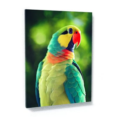 Sense Canvas Parrot Macaw Bird 9 Canvas Art - Home Decor Wall Art Print Poster Painting Large 30x40 / 1.5"