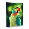 Sense Canvas Parrot Macaw Bird 9 Canvas Art - Home Decor Wall Art Print Poster Painting Large 30x40 / 1.5" view 1