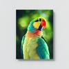 Sense Canvas Parrot Macaw Bird 9 Canvas Art - Home Decor Wall Art Print Poster Painting Large 30x40 / 1.5" view 4