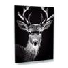 Sense Canvas Deer 35 Canvas Art - Home Decor Wall Art Print Poster Painting Large 30x40 / 1.5" view 1