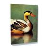 Sense Canvas Duck 1 Canvas Art - Home Decor Wall Art Print Poster Painting Large 30x40 / 1.5" view 1
