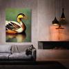 Sense Canvas Duck 1 Canvas Art - Home Decor Wall Art Print Poster Painting Large 30x40 / 1.5" view 2