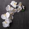 Ashland White Orchid Stem, 12 Pack view 2