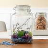 Ashland Hermes Jar, 12 Pack view 2