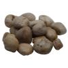 Ashland Brown River Rocks, 16 Pack view 1