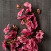 Ashland Mauve Peach Blossom Spray, 12 Pack view 2
