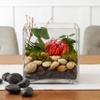 Ashland 7" Square Vase, 6 Pack view 2