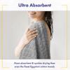 Alusa Home Ultra Soft & Stylish 700 GSM Luxury Bath Sheets | Pack of 2 | Extra Large 35x70 Inches | 100% Zero-Twist, Long-Staple Cotton | Remarkably Absorbent (Pewter Grey) view 3