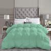 Velosso Beautiful Pinch Pleated Comforter, 1000 Thread Count 100% Egyptian Cotton Fabric, 550 Fill Power All Season King/Cal King 5 Piece Comforter Set (Mint, 94x104 inches) view 2