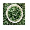 Wholesale Grade A++ Nephrite Jade Semi Tumbled Gemstone Chips 5-15 m (1/4 lb) view 2