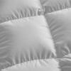 REXOWL Warmth Comforter Winter 7187inch, All-Season Warmth Comforter Duvet, Fluffy Quilt Exquisite Heavy Weight for Warm Weather/Hot Sleepers view 3
