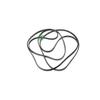GLOB PRO SOLUTIONS WP40111201 CKD4631 Drive Belt view 2