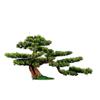 Artificial Trees Fake Bonsai Tree 21 Inches Artificial Bonsai Pine Tree Lifelike Trunk, Fake Plants Decoration, in Black Planter Artificial Bonsai ( Size : Green ) view 1