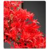 Artificial Trees Artificial Bonsai Tree Red Leaf Natural Root Carving and Black Base, Fake Plant Decoration, Realistic Potted Artificial House Plants for Home Decor, Desktop Display Artificial Bonsai view 3